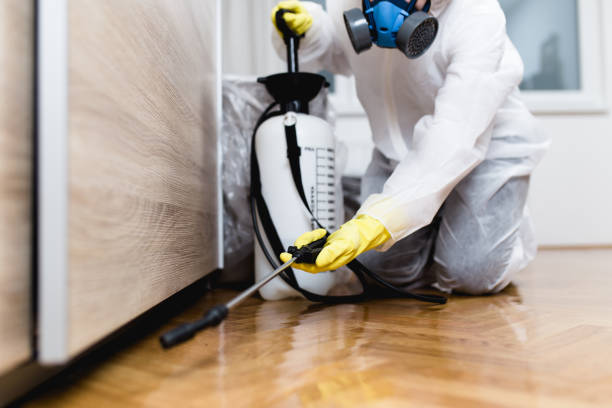 Best Exterminator Services  in Shoreacres, TX