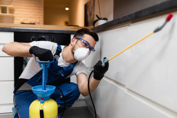 Best Pest Removal Services  in Shoreacres, TX