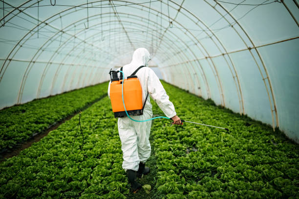 Best Pest Inspection Near Me  in Shoreacres, TX