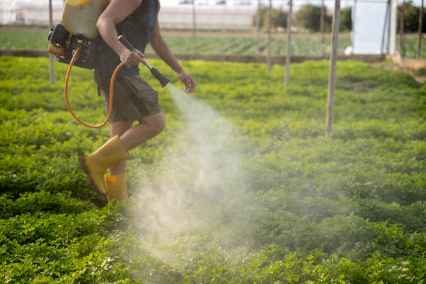 Best Best Pest Control Companies  in Shoreacres, TX