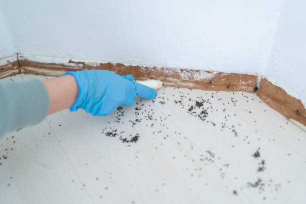 Best Pest Control for Restaurants  in Shoreacres, TX